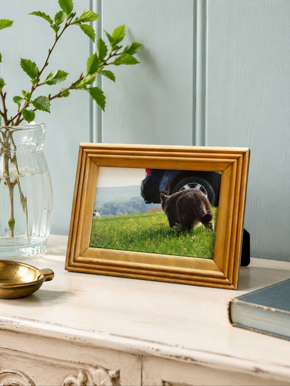 Original Cat Photography “Cat March” 5x7 | New Brunswick Photographer